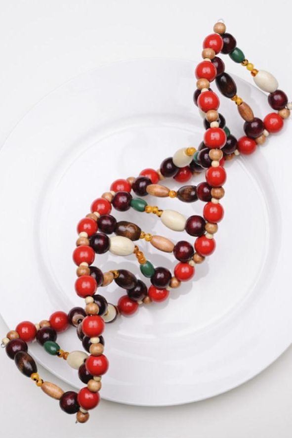 dna-dieta